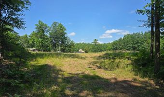 Off HWY 51, Arbor Vitae, WI 54521