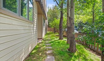 123 W Hyman Ave Unit A, Aspen, CO 81611