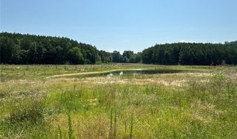 0 Highway 140 Tract F NW, Adairsville, GA 30103