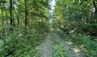 Lot 53 Robb Hill Road, Alexander, ME 04694