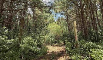 25 Acres Silo Rd, Altoona, AL 35952