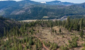 NKA 262 Ac N Side Rd, Calder, ID 83808