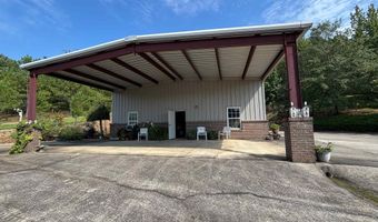 3941 SHOAL CREEK Rd, Ashville, AL 35953