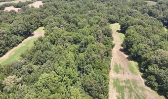 Hwy 1591, Bardwell, KY 42023