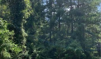 000 Mt Pleasant Ln SE, Bogue Chitto, MS 39629
