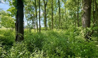 16130 Addison Rd, Addison, MI 49220