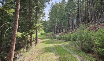Nhn Lost Creek Rd, Anaconda, MT 59711