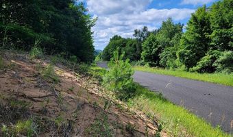 Maxey Road unit 7.2 Acres 7.2 Acres, Arcadia, MI 49613