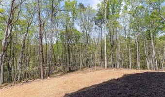 394 SETTLERS RIDGE Dr, Ball Ground, GA 30107