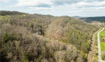 47691 E Captina Highway Rd, Alledonia, OH 43902