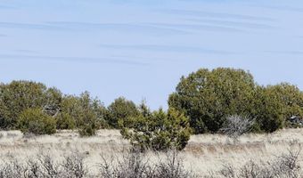 644 Cortez Ranch Rd, Ash Fork, AZ 86320