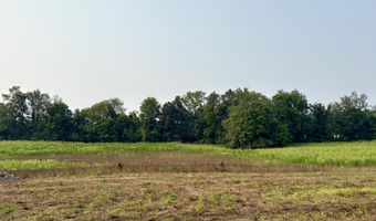 7769 96th St SE, Alto, MI 49302