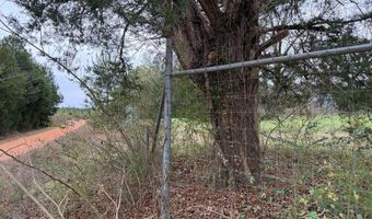 County Road 91, Banks, AL 36005