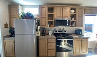1030 Excelsior Ln, Challis, ID 83226