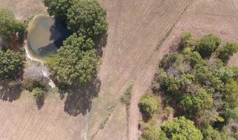 County Road 113, Alton, MO 65606