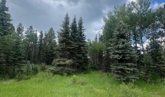 Elk Meadow Lot 82, Angel Fire, NM 87710