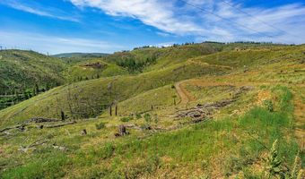 1600 Whale Rock Rd, Bellvue, CO 80512