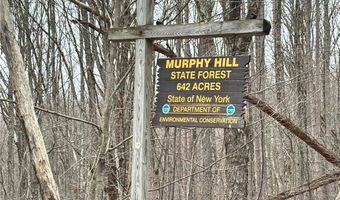 2613 Murphy Hill Rd, Andes, NY 13731
