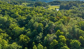24 Joyful Spgs, Beattyville, KY 41311