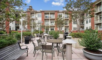 309 HOLLAND 327, Alexandria, VA 22314