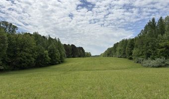 N Osborntown Rd, Arlington, TN 38002
