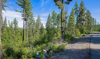 173 Timberjack Trl, Bigfork, MT 59911