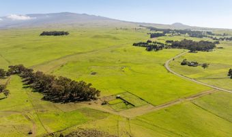 23 ALULIKE Rd, Kamuela, HI 96743