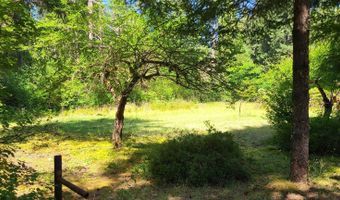 55533 MCKENZIE RIVER Dr, Blue River, OR 97413