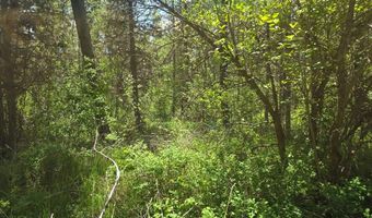 4585 E 1400 N, Ashton, ID 83420
