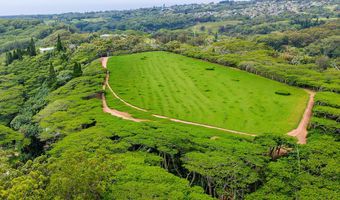 3310 WAWAE Rd, Kalaheo, HI 96741