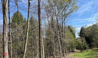 106 Road, Alma, NY 14708