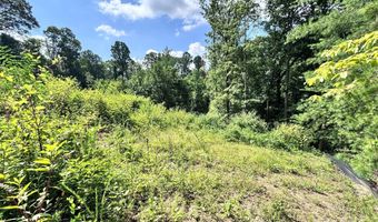 3 Winter Hawk Dr 1, Arden, NC 28704