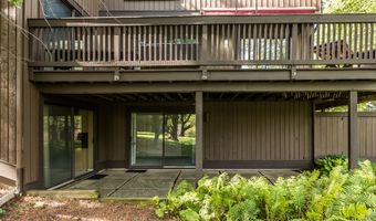 22 Haverhill Ct, Ann Arbor, MI 48105