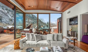 233 E Cooper Ave 301, Aspen, CO 81611