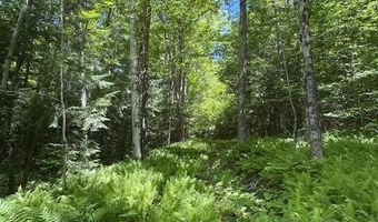 1585 Chateauguay Rd, Barnard, VT 05031
