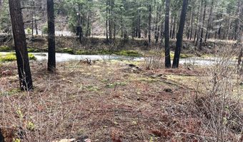 91303 BLUE RIVER Rd, Blue River, OR 97413