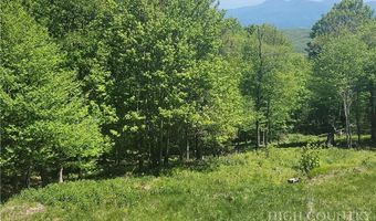 Foxfire Drive, Banner Elk, NC 28604