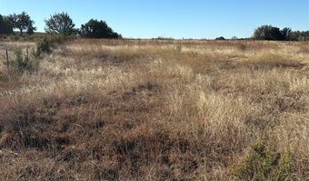 1190 N State HWY 220, Hico, TX 76457