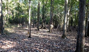 20 Ac. 9 Hwy, Bruce, MS 38915