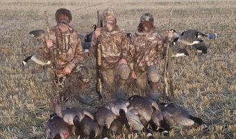 1550 Haskins Rd, Bonanza, OR 97623