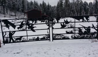 1173 Cygnet Trl, Bigfork, MT 59911