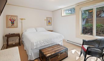 715 W Smuggler St, Aspen, CO 81611