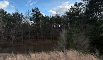 Hwy 9, Blue Springs, MS 38828