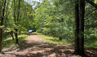 21 Collett Woods Trl Lot #21, Andrews, NC 28901