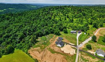 233 Cedar Ln, Allons, TN 38541
