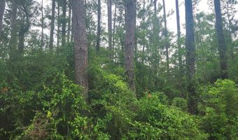 5 Th St Lot 648, Bay St. Louis, MS 39520