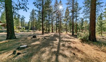 238 Redding Way, Carson City, NV 89705