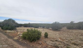 Tbd CR 8065, Concho, AZ 85924