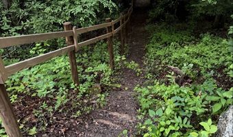 Tdb Cove Creek Rd, Bastian, VA 24314