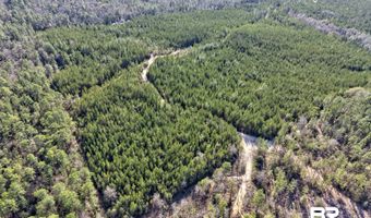 Jones Lane, Bay Minette, AL 36507